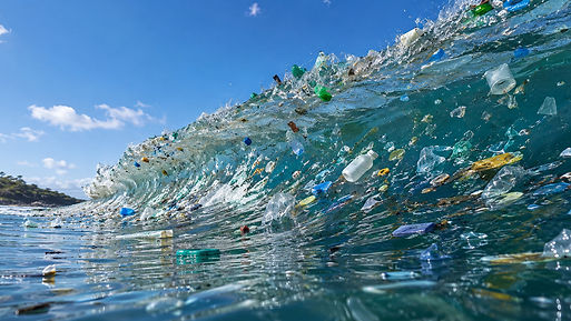 Wave.jpg