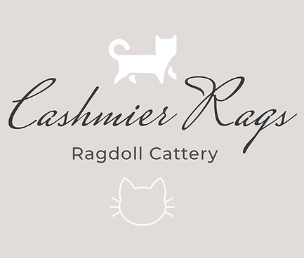 Image 5-7-24 at 6.17 AM.jpeg