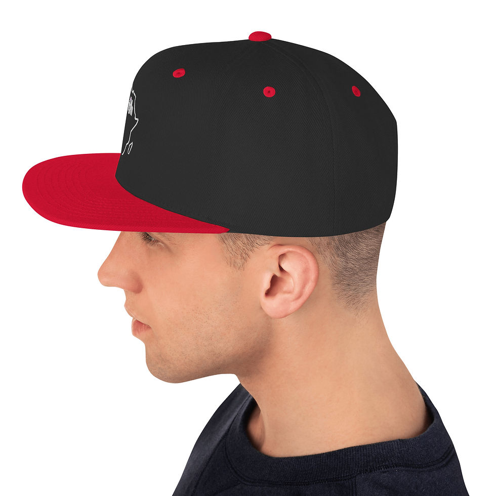 Thumbnail: Snapback Hat