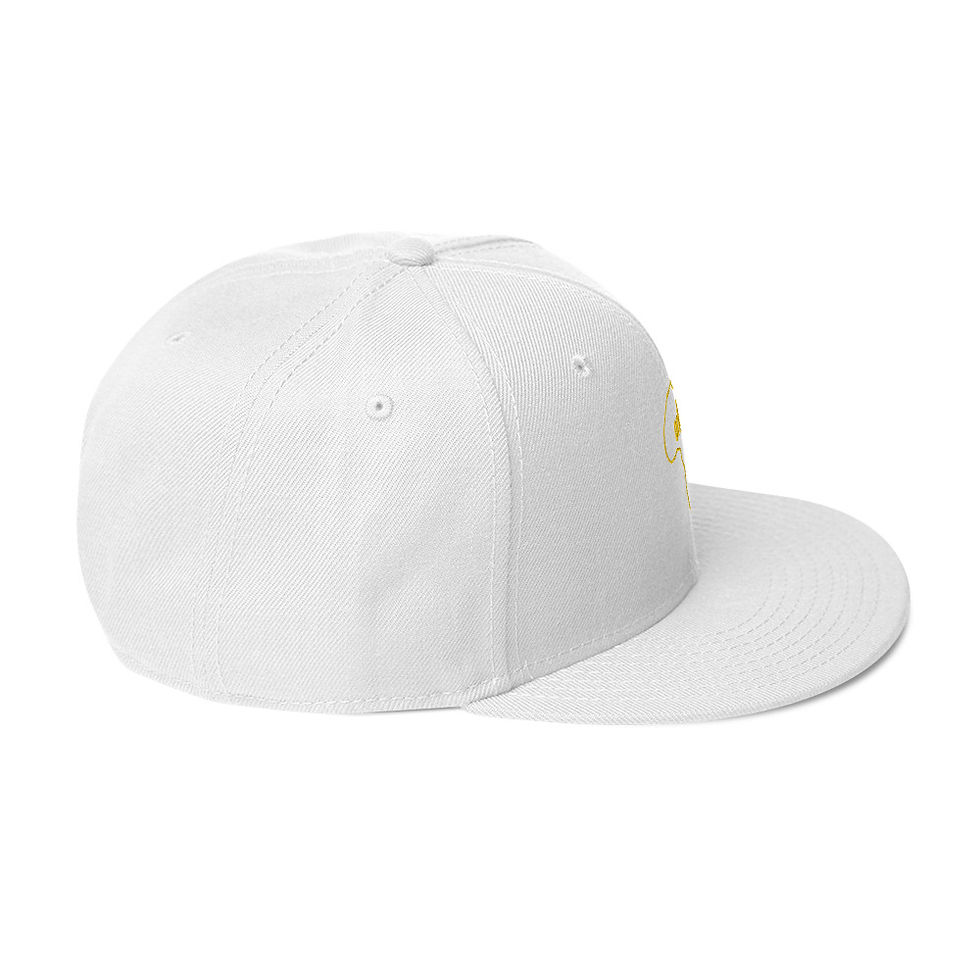Thumbnail: Snapback Hat