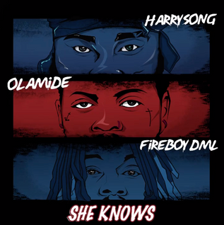 Harrysong – “She Knows” ft. Fireboy DML x Olamide