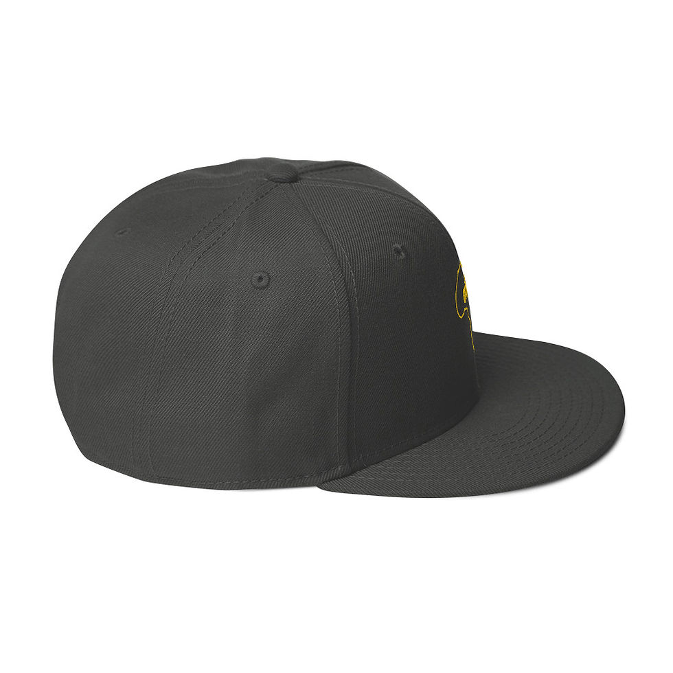 Thumbnail: Snapback Hat