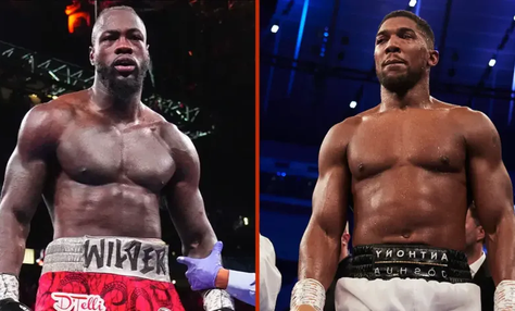 Deontay Wilder's manager Shelly Finkel has declared that Wilder now wants the Anthony Joshua fight