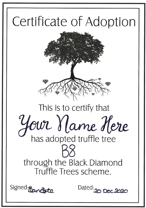 Truffle tree adoption certificate