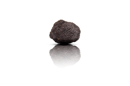 Truffe.png