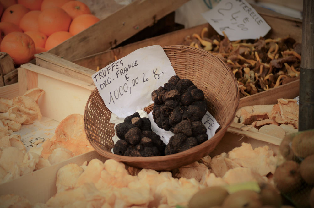 Types of Truffle