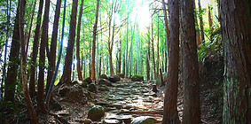 1518F728AC9E4030B28692258F054BC8_LL_edited.jpg