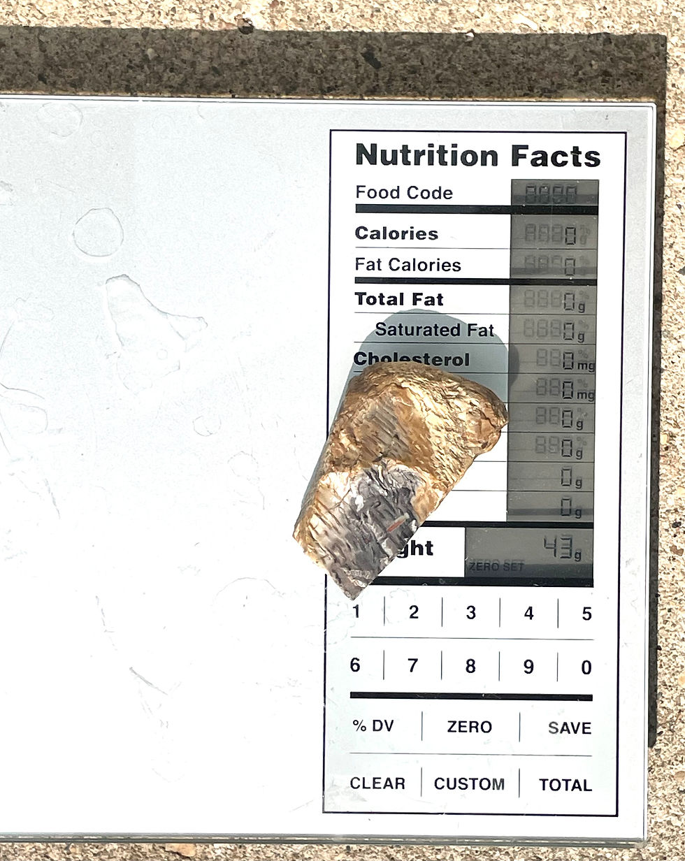 Thumbnail: Petrified Palm Wood