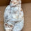 Thumbnail: Lapidary Flat -Agate Mix