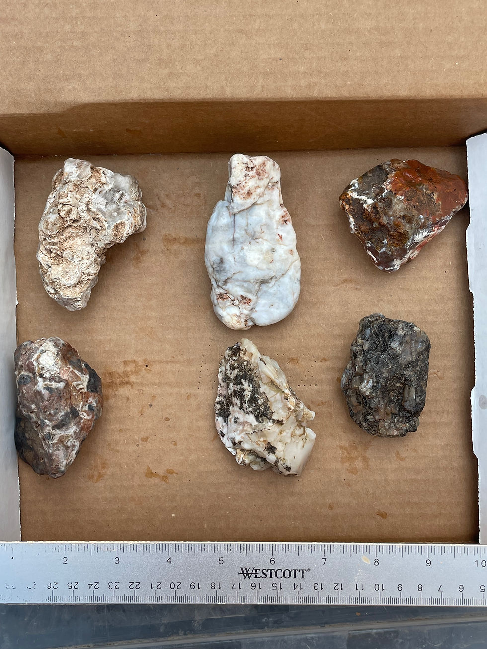 Thumbnail: Lapidary Flat -Agate Mix