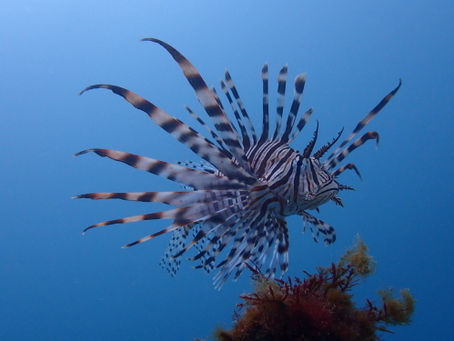 やっと穏やかに~