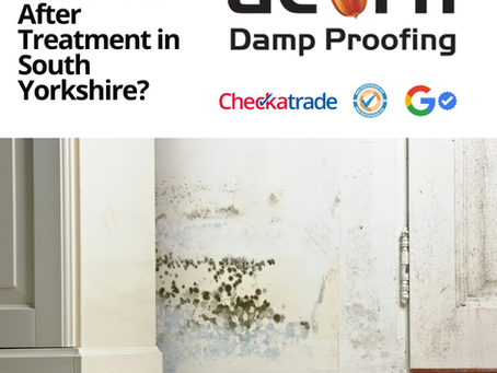 Can Black Mould Return After Treatment in South Yorkshire?