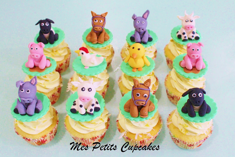 Mes Petits Cupcakes Doncaster Kew Balwyn Birthday Cupcakes Melbourne