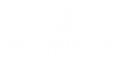 white_logo_transparent_background.png
