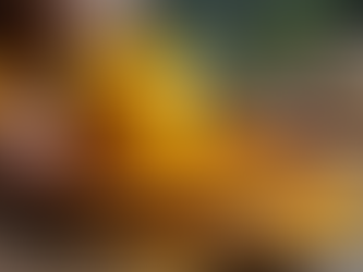 Turmeric Paste: The Ultimate Guide for Health Enthusiasts