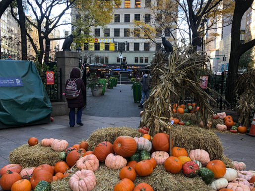 Pumpkins and Corn stalks displayed in Greeley Square, NYC.