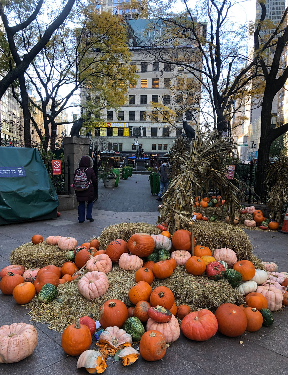 Pumpkins and Corn stalks displayed in Greeley Square, NYC.
