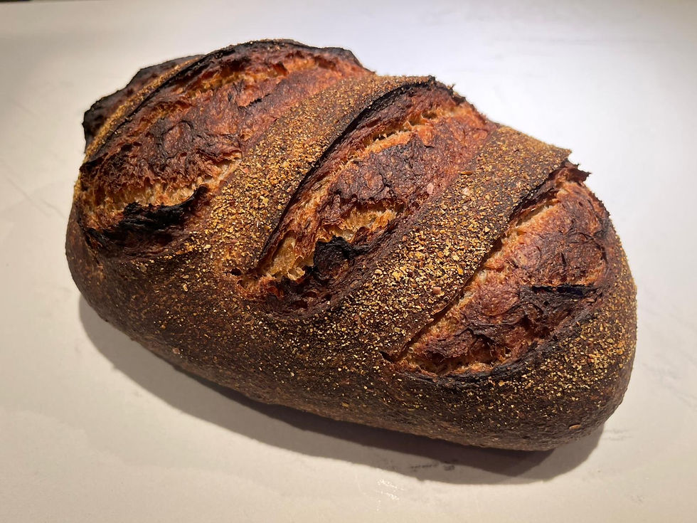 A rustic thick crusted loaf of freshly baked Rye bread.