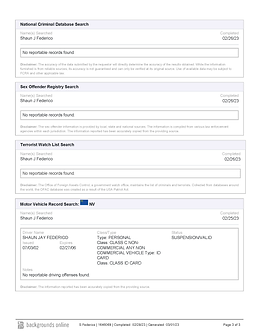Background check for Shawn J Frederico with no criminal records