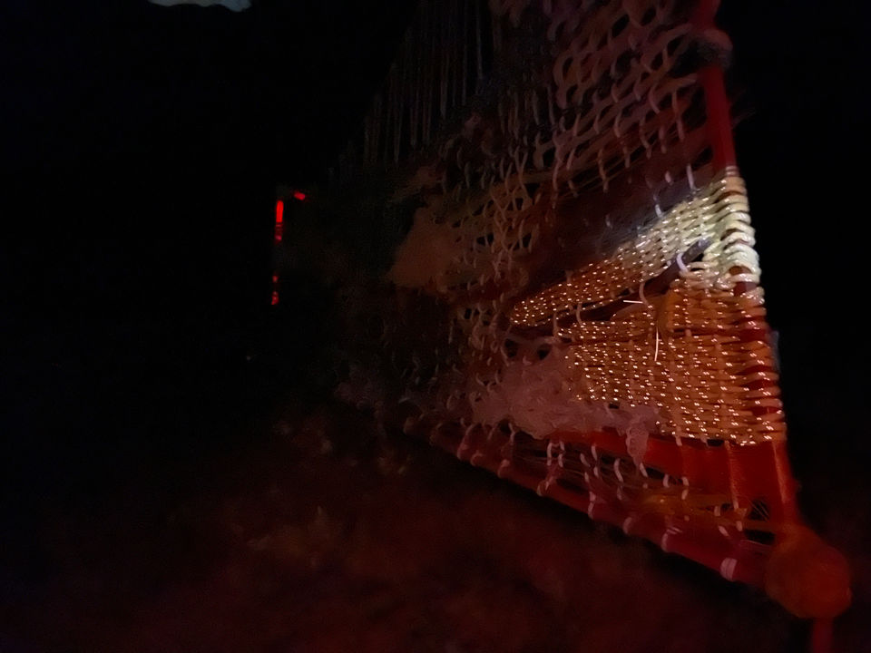 IMG_7313 (1).JPG.jpg