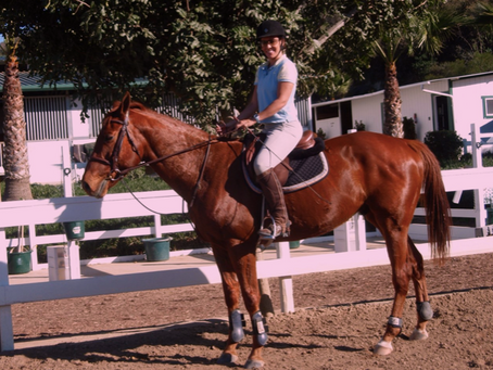 How “why not?” Changed My Life