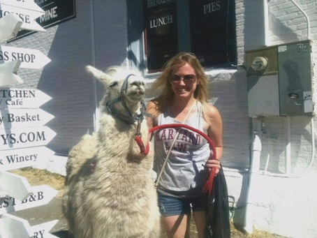 How to Accept and (Embrace) Feedback