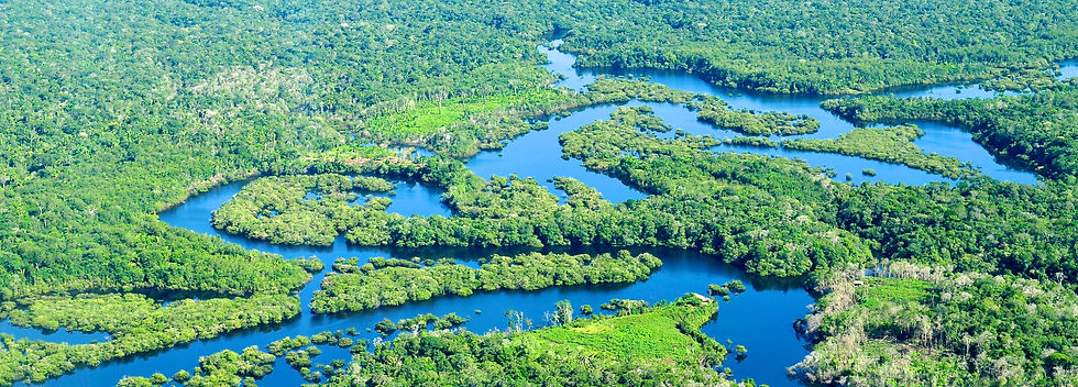 amazon-river-basin.jpg