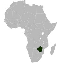africa.png