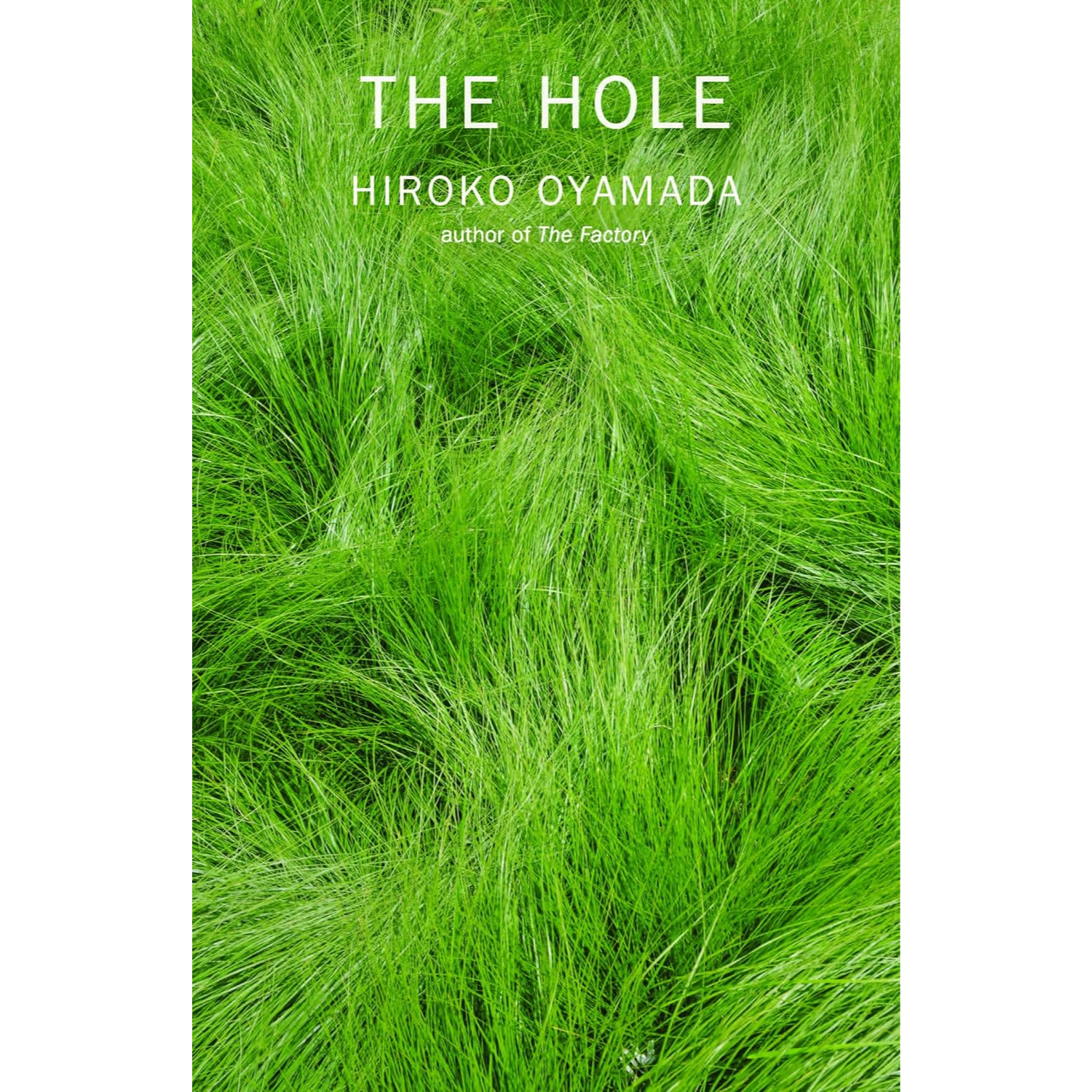 The Hole by Hiroko Oyamada, David Boyd (Trans.)