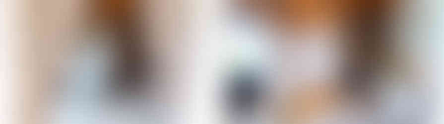 Vorher–Nachher Kaminzimmer, Oldenburg-Bümmerstede – vom leeren Raum mit Vorhang zur wohnlichen Sitzecke am Kamin mit Teppich & Deko (Home Staging Nordlixx)