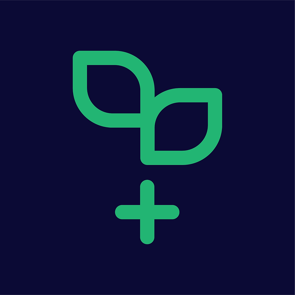 Plus Importance Project