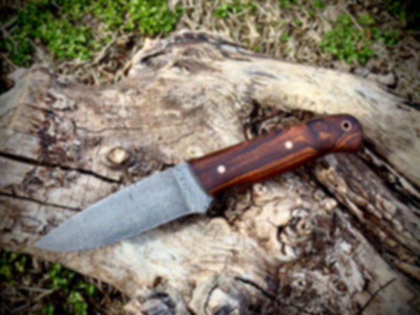 200 Layer Damascus Halo - Desert Iron Wood