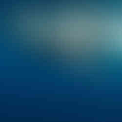 Swimming  with whale sharks