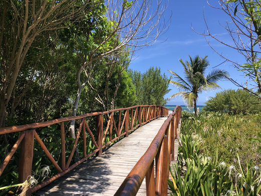 Walking to the beach at Unico