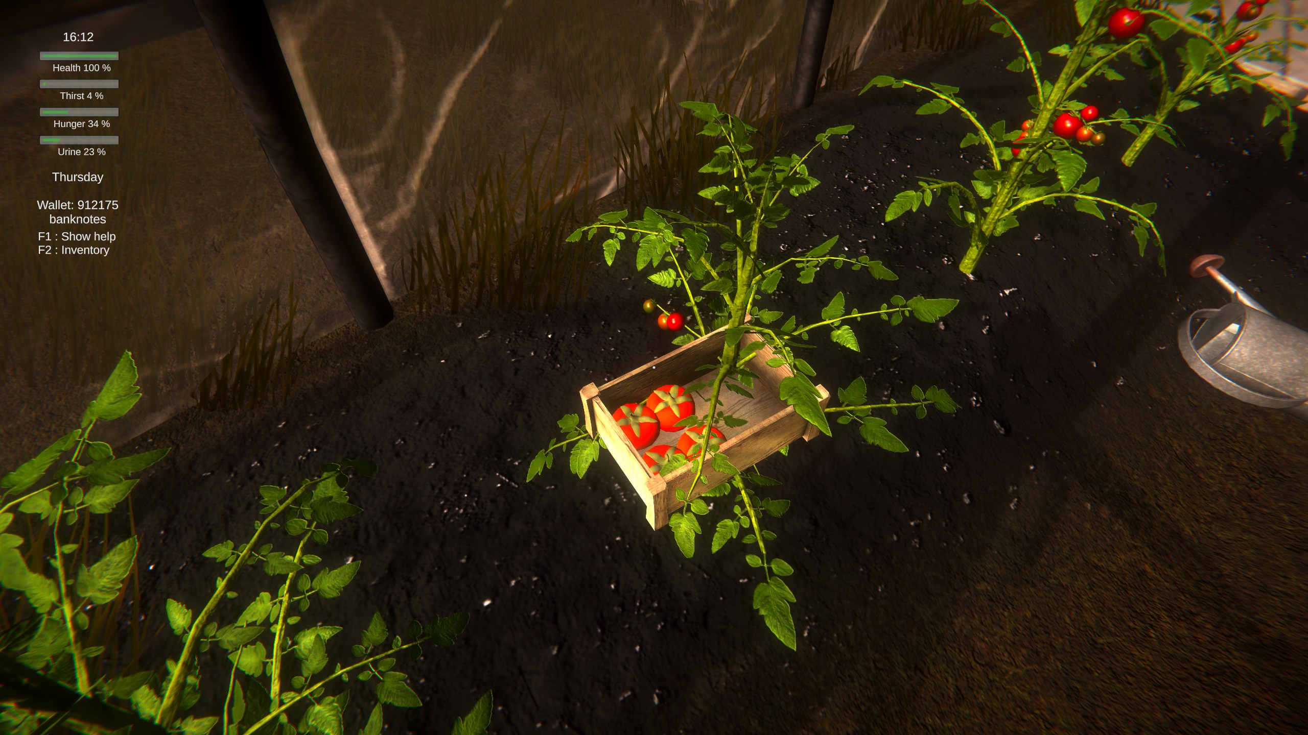 Pastor's Lake - рыбалка