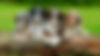 New_cover.webp