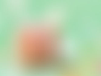 Astrology-Inspired Gift Ideas for Every Zodiac Sign