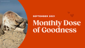 September’s Monthly Dose of Goodness 
