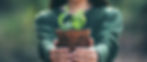 Someone holding a tree sapling ready to be planted