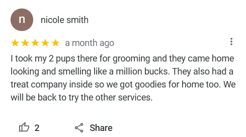 5 Star Review.webp