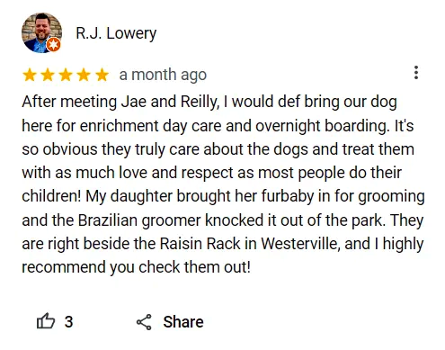 Sterling K9 Dog Boarding in Columbus Review.webp