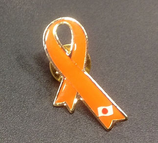 orange belt image.JPG