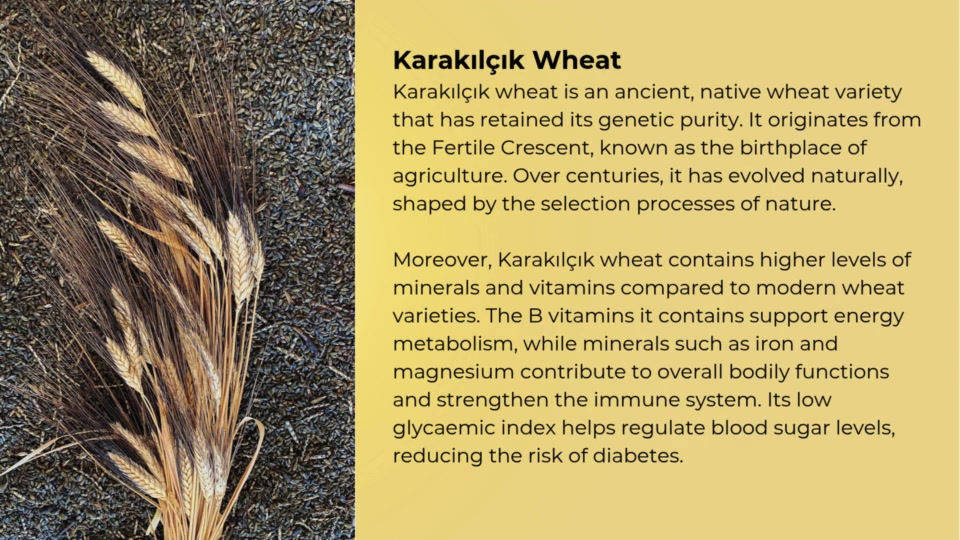 Thumbnail: Bulgur Wheat