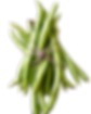 bundle of green beans tied together on table_edited.png