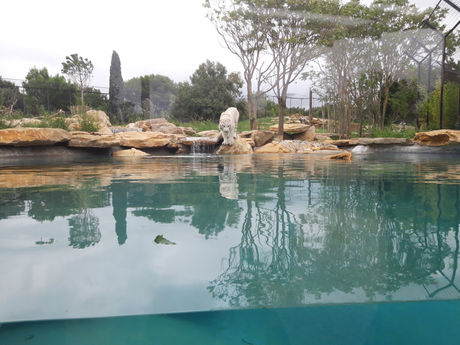 DEMANDE DE RÉOUVERTURE DU ZOO DE LA BARBEN