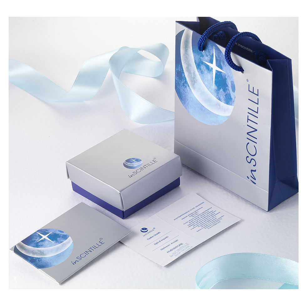 Miniature : Collier Homme Nautica Maille Vénitienne, Rose des vents dans un Anneau coloré