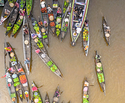 AdobeStock_395776618_edited.jpg