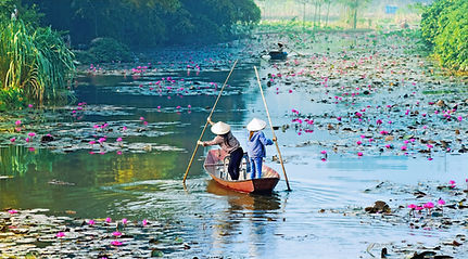 AdobeStock_167544624_edited_edited_edited.jpg