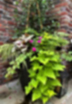 Summer Container