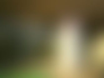 明けましておめでとうございます!